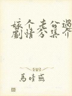 嫁个老公过日子剧情分集介绍