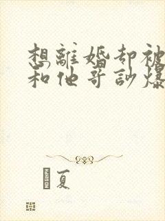 想离婚却被丈夫和他哥吵爆了小说在线阅读封面