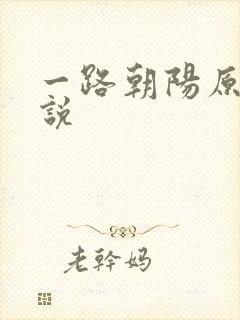 一路朝阳原著小说封面
