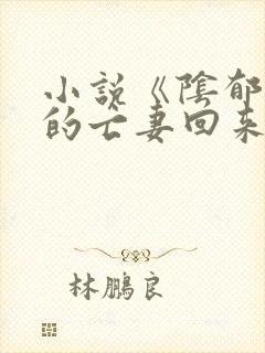 小说《阴郁大佬的亡妻回来了》的大