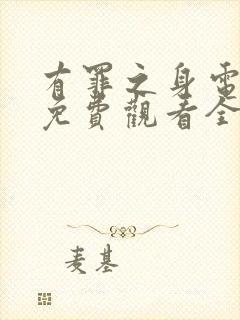 有罪之身电视剧免费观看全集高清版11集封面