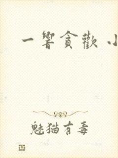 一响贪欢 小说封面