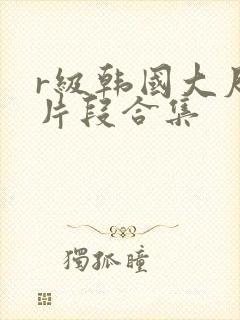 r级韩国大尺度片段合集