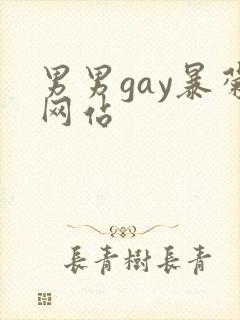 男男gay暴菊网站