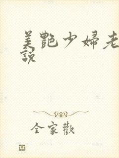 美艳少妇老师小说封面
