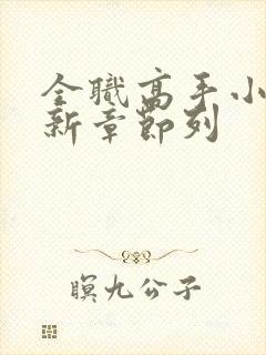 全职高手小说最新章节列