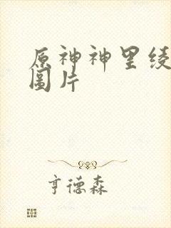 原神神里绫华的图片封面