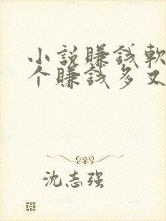 小说赚钱软件哪个赚钱多又安全封面