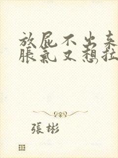 放屁不出来肚子胀气又想拉大便不来