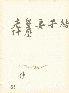 老舅妻子结局是什么封面