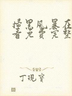 扫黑风暴在线观看免费完整版星辰封面