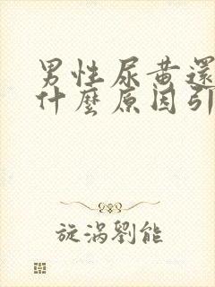 男性尿黄还疼是什么原因引起的