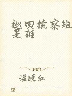 巡回检察组内鬼是谁