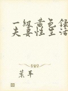 一级黄色录像片夫妻性生活片封面