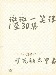 微微一笑很倾城1至30集