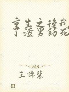 重生之后我嫁给了渣男的死对头短剧封面