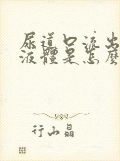 尿道口流出黄色液体是怎么回事