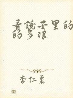 看镜子里的你叫的多浪封面