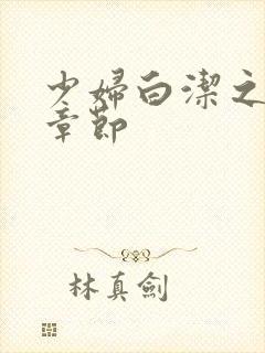 少妇白洁之最新章节