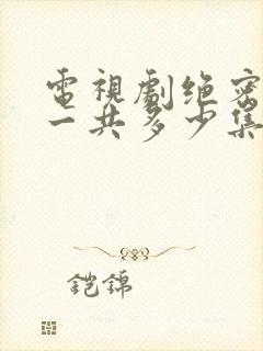 电视剧绝密较量一共多少集啊封面