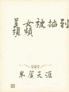 美女被插到爽的视频