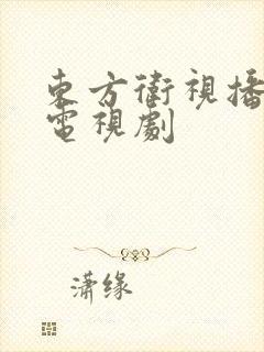 东方卫视播放的电视剧