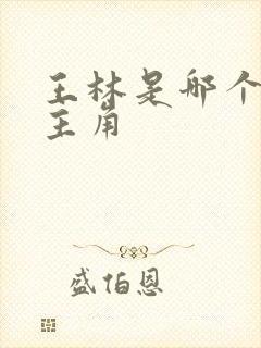 王林是哪个小说主角封面