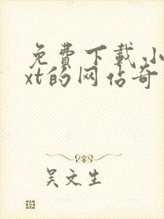 免费下载小说txt的网站奇书网