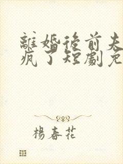 离婚后前夫他追疯了短剧免费观看