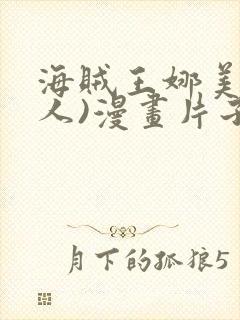 海贼王娜美(同人)漫画片子