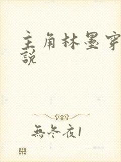 主角林墨穿越小说