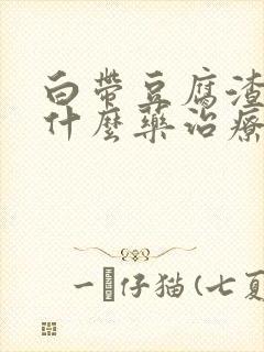 白带豆腐渣状用什么药治疗