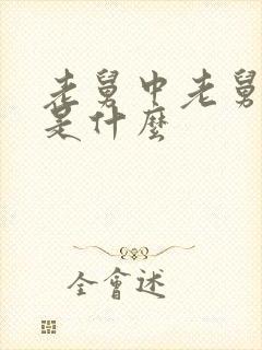 老舅中老舅结局是什么