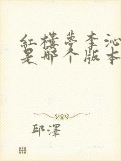 红楼梦李沁演的是哪个版本