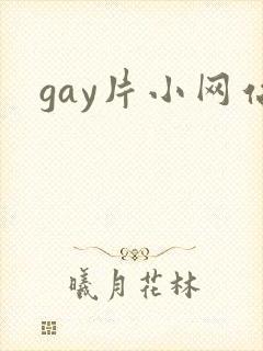 gay片小网站