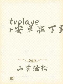 tvplayer安卓版下载