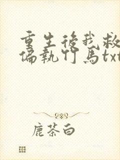 重生后我救赎了偏执竹马txt