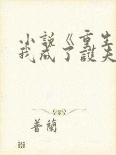 小说《重生后,我成了护夫狂魔》