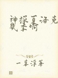 神探夏洛克一共几季啊