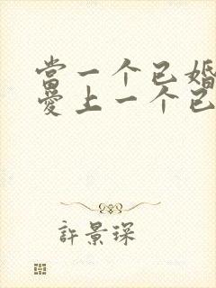 当一个已婚男人爱上一个已婚女人怎么办封面