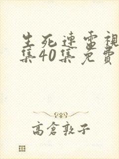 生死连电视剧全集40集免费观看高清封面