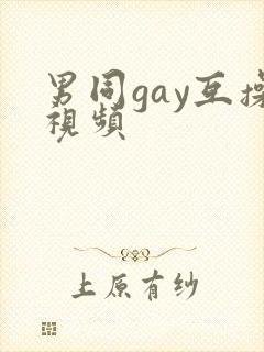 男同gay互操视频