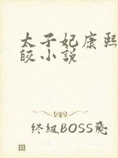 太子妃康熙沈皎皎小说