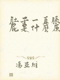 肚子一直胀气放屁是什么原因