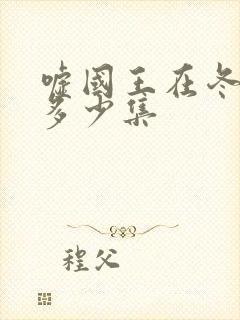 嘘国王在冬眠共多少集