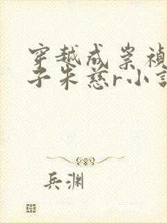 穿越成崇祯的太子朱慈r小说