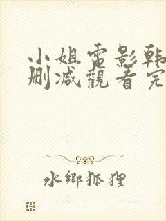 小姐电影韩国无删减观看完整版在线观看封面