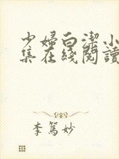 少妇白洁小说全集在线阅读