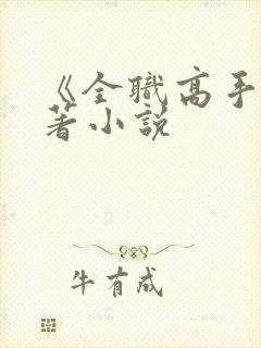 《全职高手》原著小说封面