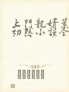 上门龙婿叶辰萧初然小说全集